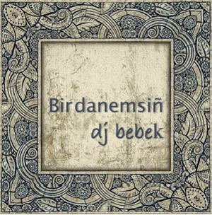 Bir Danemsin (2020)