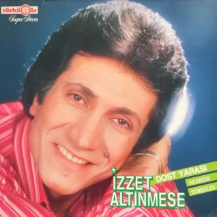 Dost Yarası (1984) cover