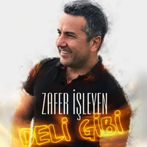 Deli Gibi (2019) cover