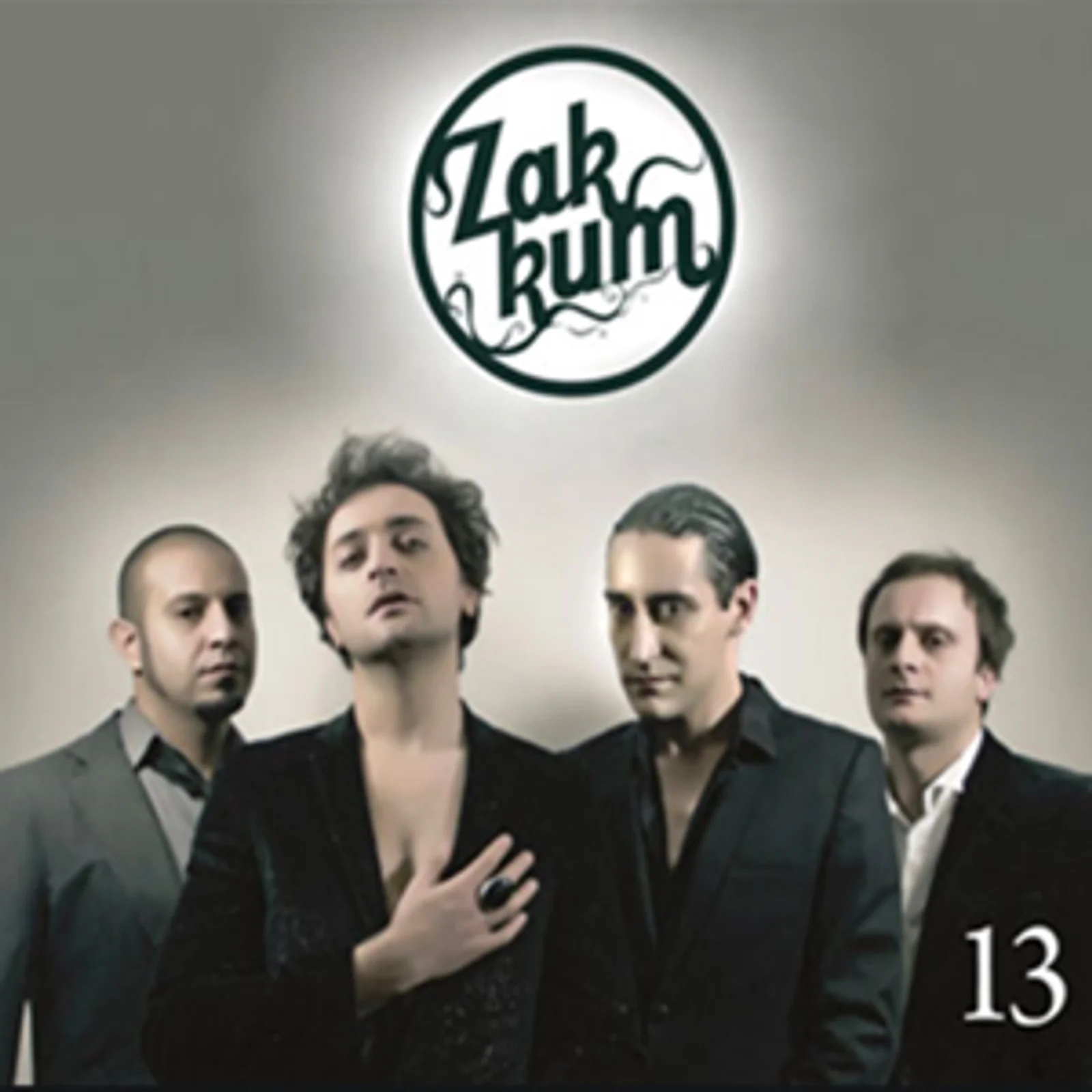 13 (2011)