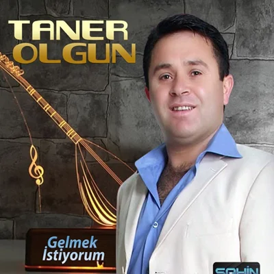 Gelmek İstiyorum (2020) cover
