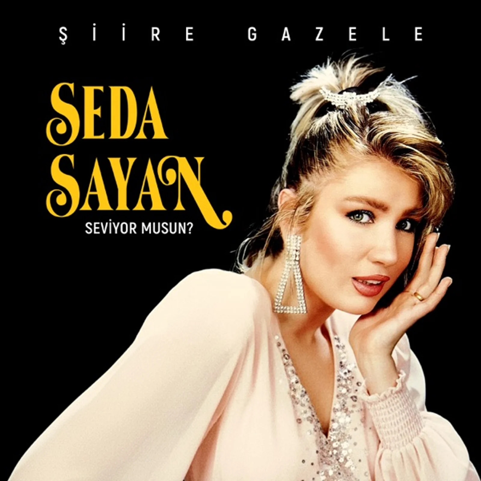 Seviyor Musun (1991) cover