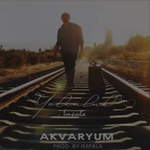 Akvaryum (2020) cover