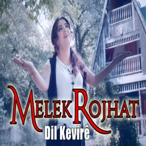 Dil Kevire (2020) cover