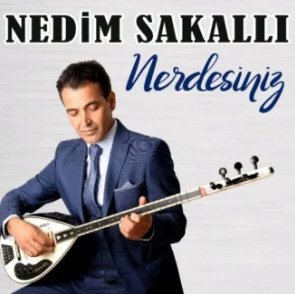 Nerdesiniz (2020)
