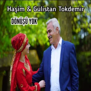 Dönüşü Yok (2020) cover