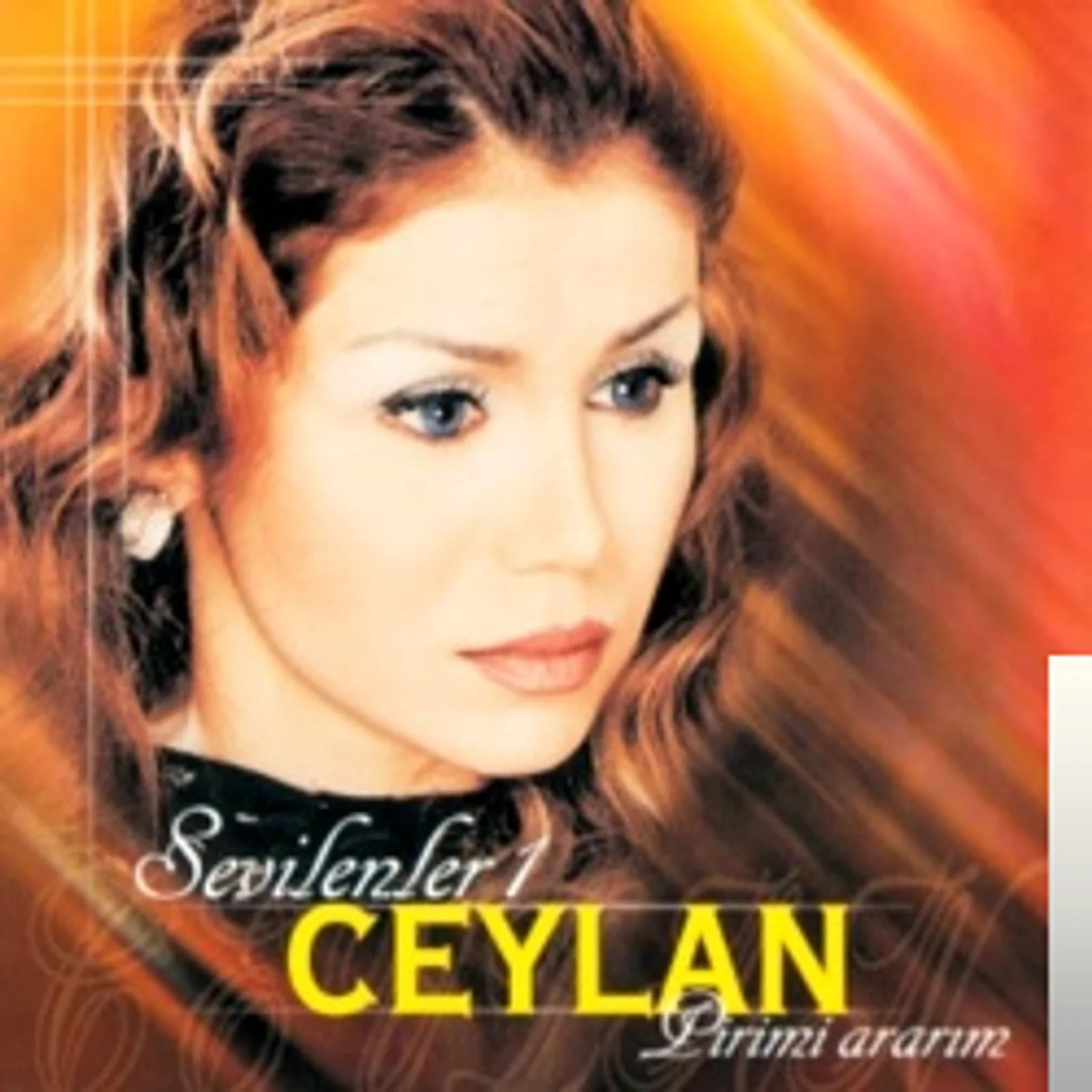 Sevilenler (2001) cover