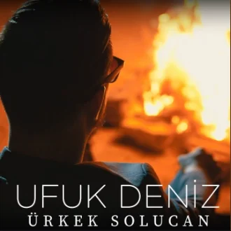 Ürkek Solucan (2020) cover