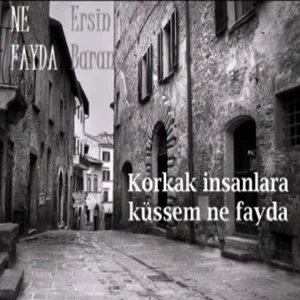 Ne Fayda (2020) cover