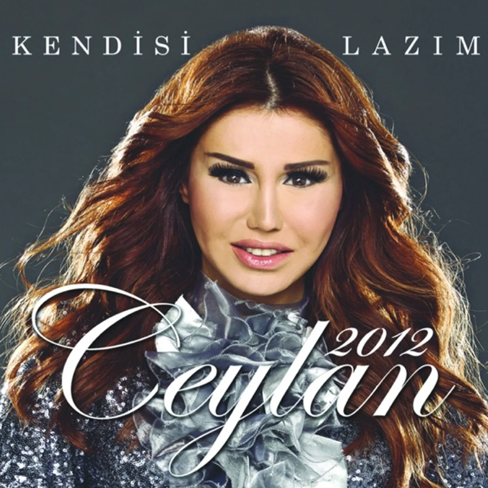Kendisi Lazım (2012) cover