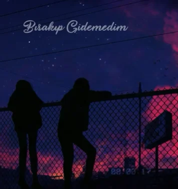 Bırakıp Gidemedim (2020) cover