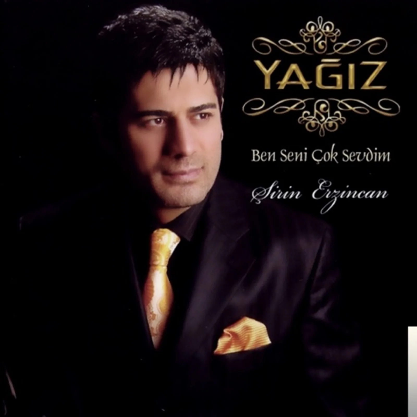 Ben Seni Çok Sevdim (2009) cover