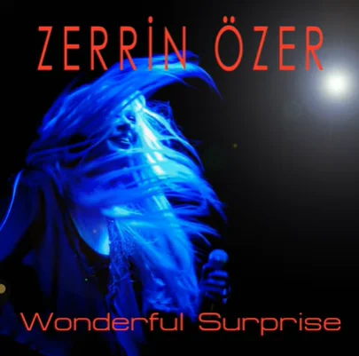 Wonderful Surprise (2020)