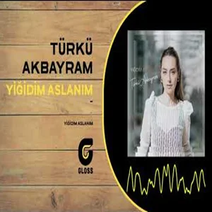 Yiğidim Aslanım (2020) cover