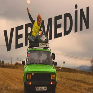 Vermedin (2021) cover