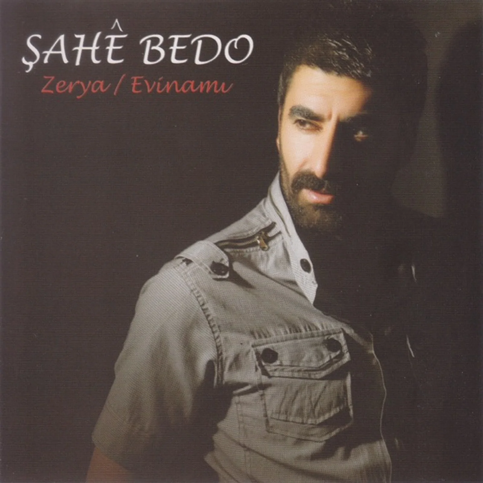 Zerya (2009) cover