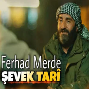 Şevek Tari (2021) cover