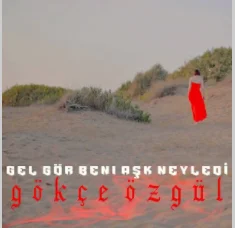 Gel Gör Beni Aşk Neyledi (2021) cover