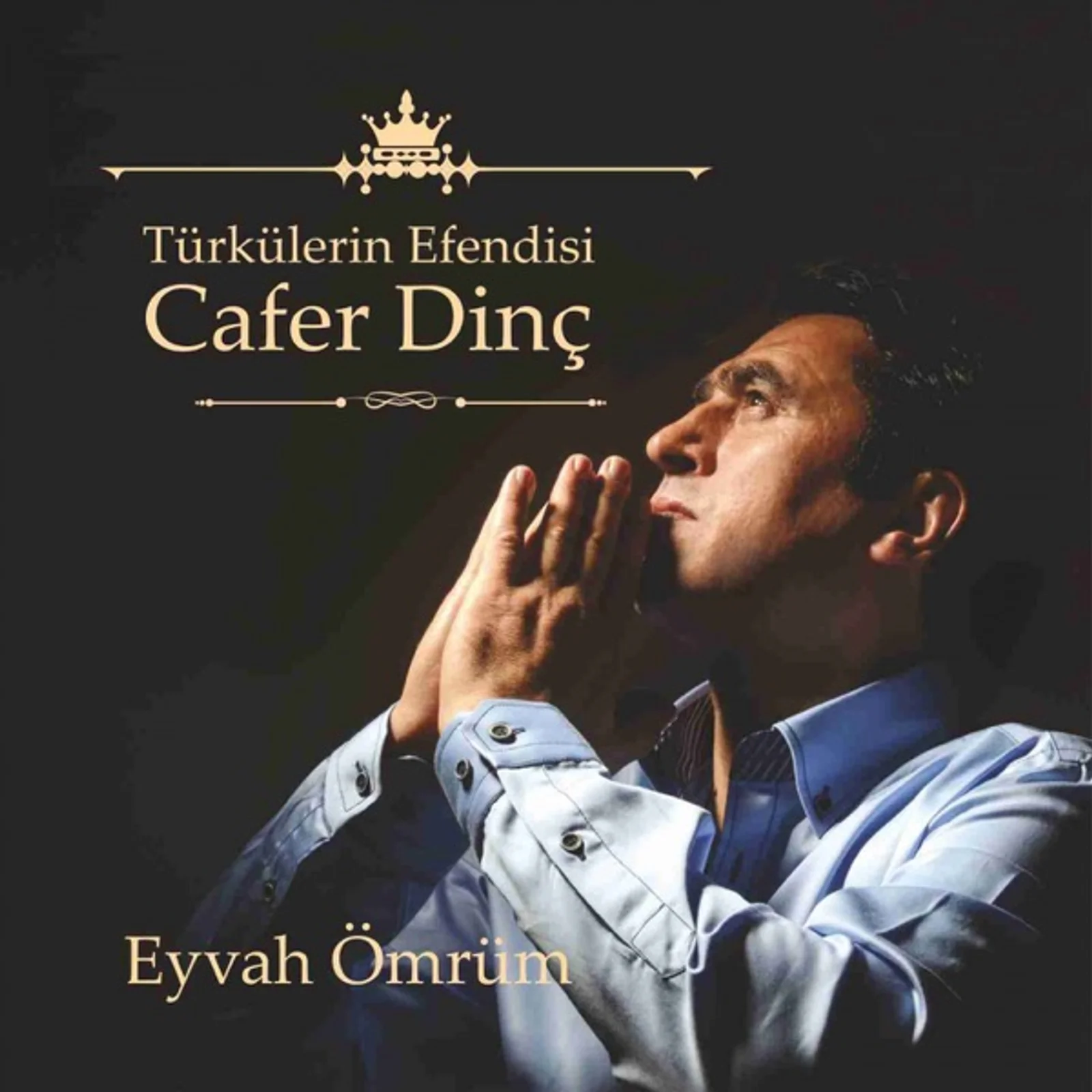 Eyvah Ömrüm (2013) cover