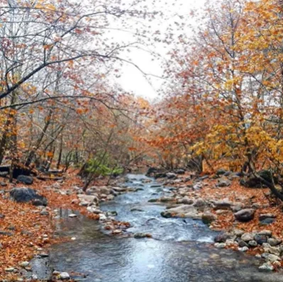 Hüzün (2021) cover