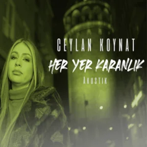 Her Yer Karanlık (2021) cover