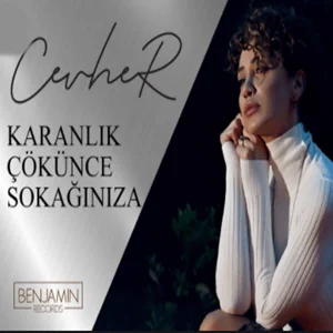 Karanlık Çökünce Sokağınıza (2021) cover