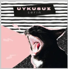 Uykusuz (2021)