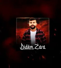 Didem Zara (2021) cover