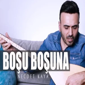 Boşu Boşuna (2021) cover