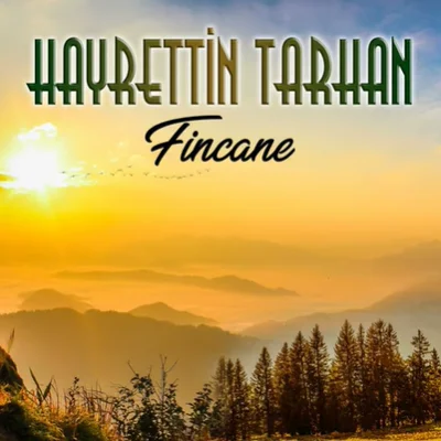 Fincane (2020) cover