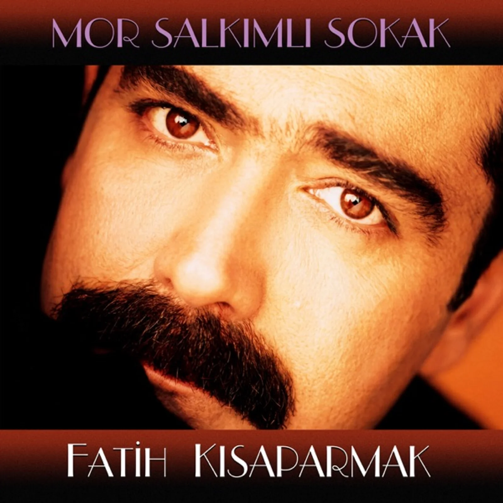 Mor Salkımlı Sokak (1999) cover