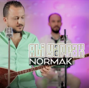 Normak (2021) cover