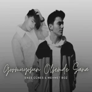 Görmüyorsun Ölsemde Sana (2021) cover
