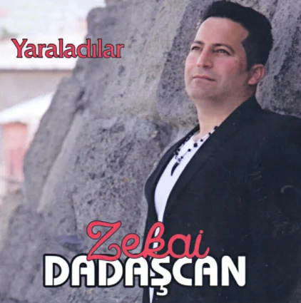 Yaraladılar (2014) cover