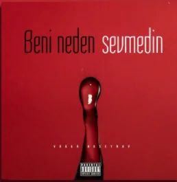 Beni Neden Sevmedin (2021) cover