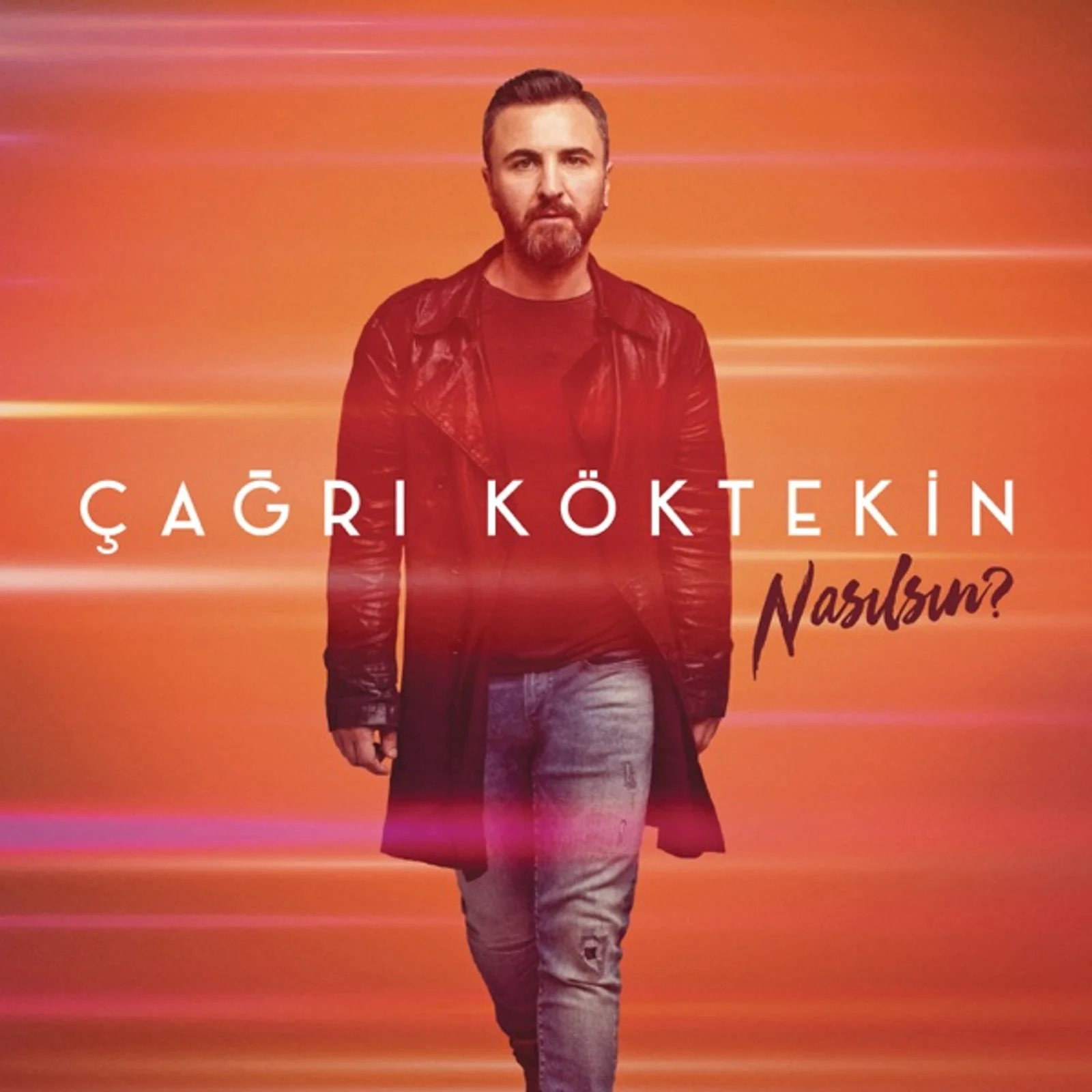 Nasılsın (2017)