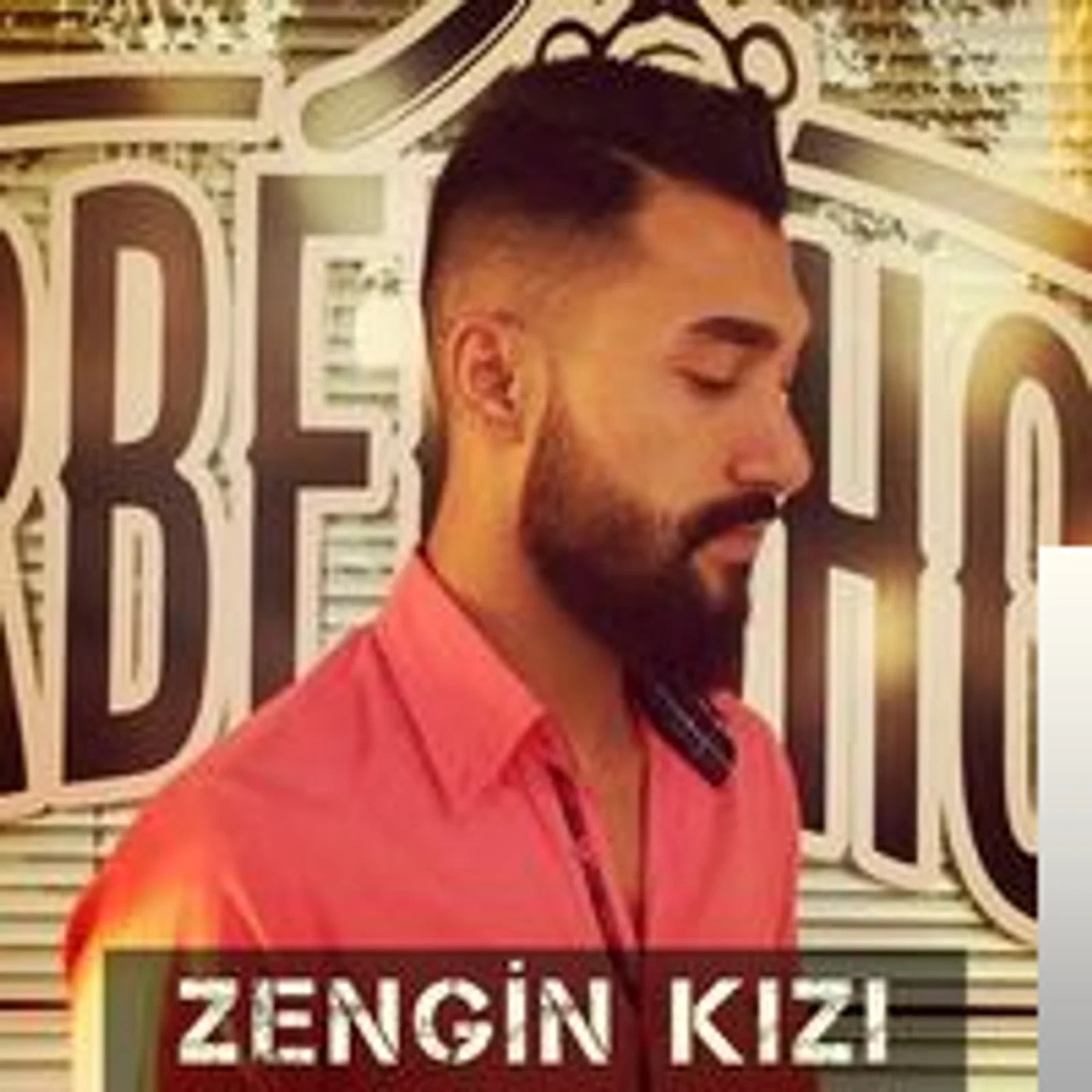 Zengin Kızı (2017) cover