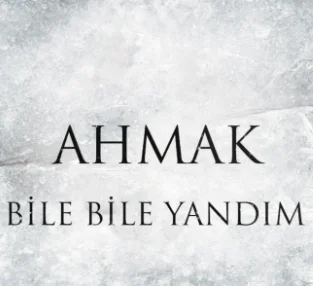 Bile Bile Yandım (2021) cover
