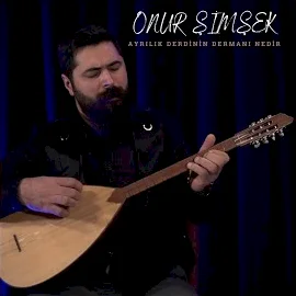 Ayrılık Derdinin Dermanı Nedir (2021) cover