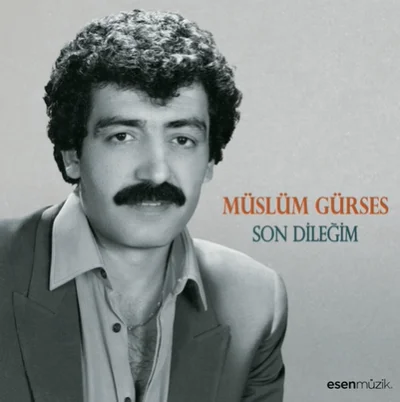 Son Dileğim (2016) cover
