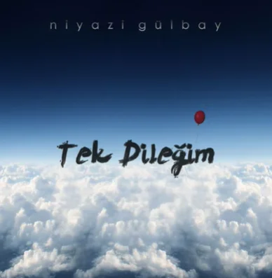 Tek Dileğim (2021) cover