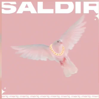 Saldır (2021)