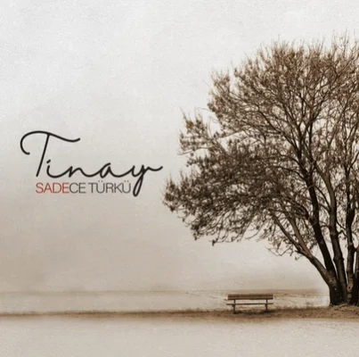 Sadece Türkü (2021) cover