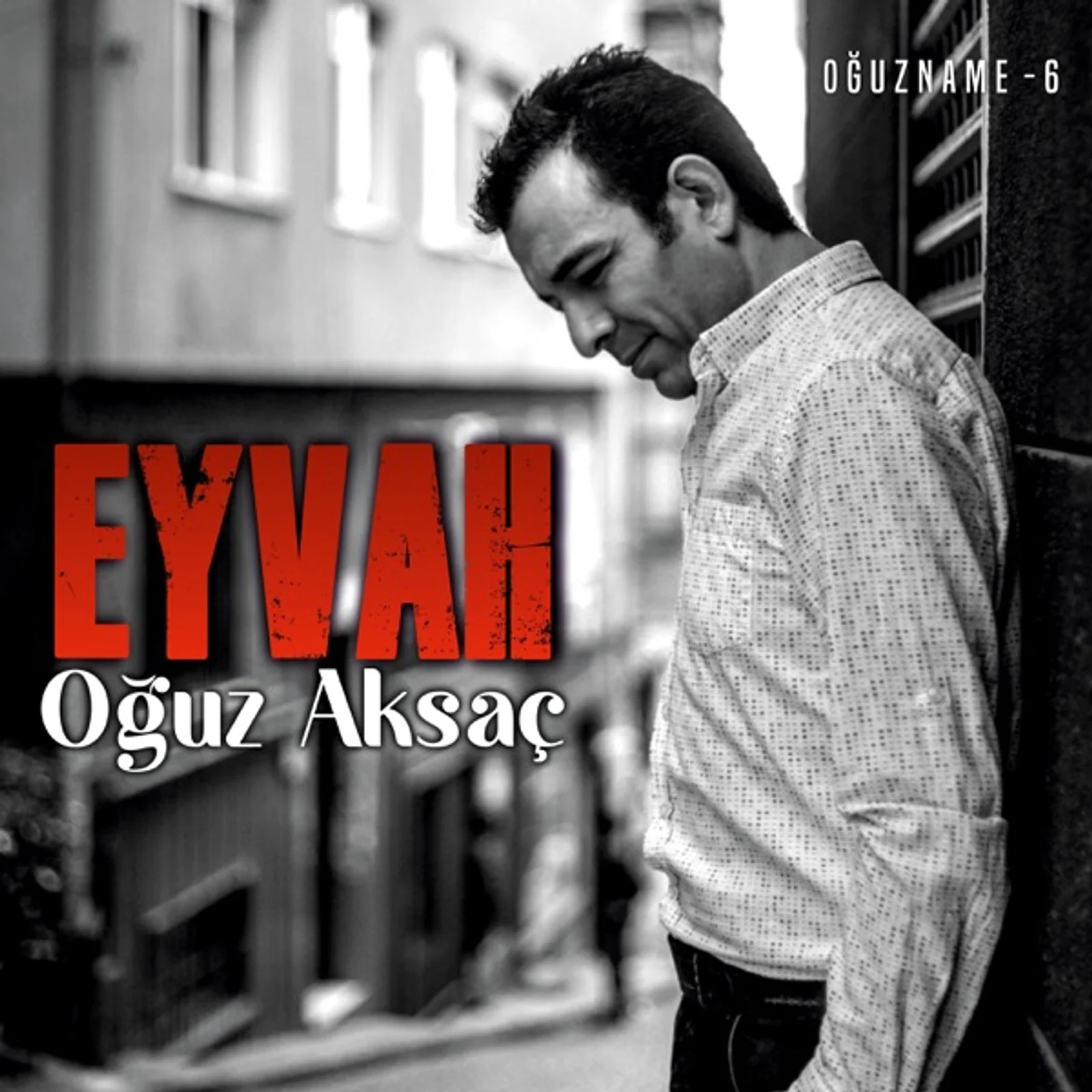 Oğuzname (2005) cover
