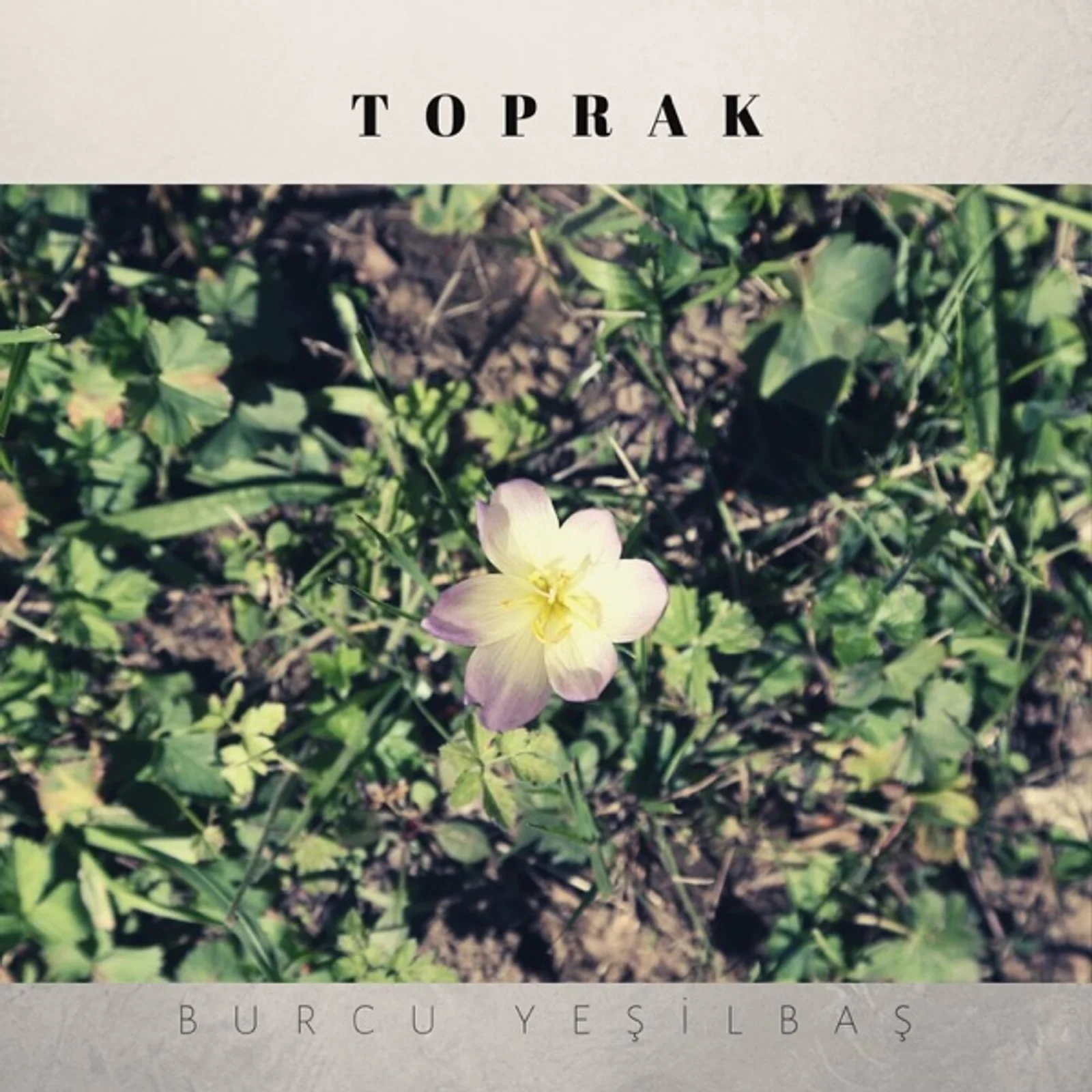 Toprak (2017)