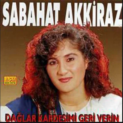 Dağlar Kardeşimi Geri Verin (2013)