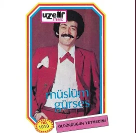 Öldürdüğün Yetmedi mi (1978) cover