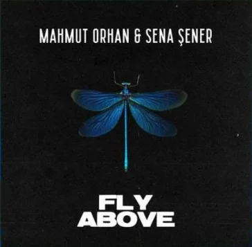 Fly Above (2021)
