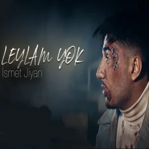 Leylam Yok (2021) cover