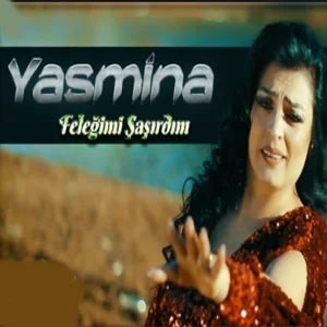 Feleğimi Şaşırdım (2021) cover